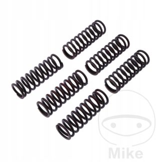 TRW LUCAS ZF SPRĘŻYNY SPRZĘGŁOWE SUZUKI DL 650 V-STROM '12-,