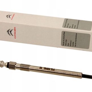 SWIECA ZAROWA C/P 2.7HDI C5/407 5960F8 ORG