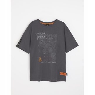 DIVERSE EXTREME TEAM - DAKAR RALLY KOSZULKA (T-SHIRT) DKR OV 0824 KOLOR GRA