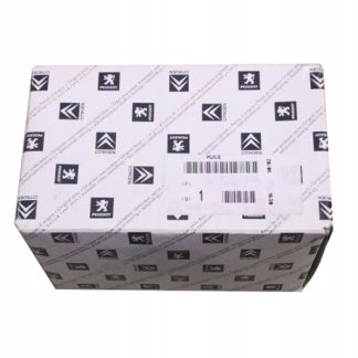 Eurorepar E147223 Filtr powietrza C/P 2.0HDI 16V C5/407 Z WŁ.