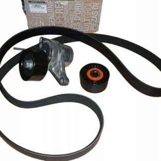 Kpl paska klinow 117201902R 2,3dci Master III ORG