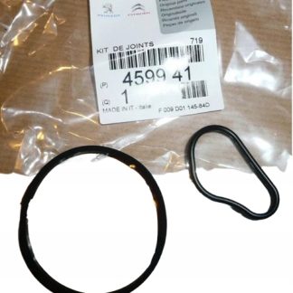 USZCZELKA POMPY VACUM KOMPLET BERLINGO C2 P206 1.6HDI 459941