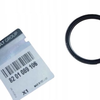 USZCZELKA PRZEWODU POWIETRZA DUSTER DOKKER CLIO IV1.4 16V 8201089100