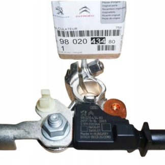 Klema 9802043480 Citroen Peugeot Oryginał