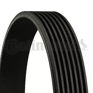 Pasek wielorowkowy CONTITECH 7 PK 2283