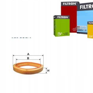 Filtr powietrza FILTRON AR 036/1