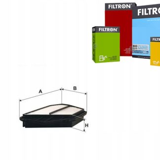Filtr powietrza FILTRON AP 102/1